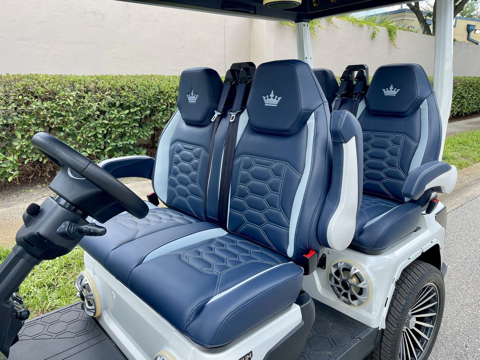 2026 Evolution D-Max GT4 4-Passenger Lithium Golf Cart - Image 3